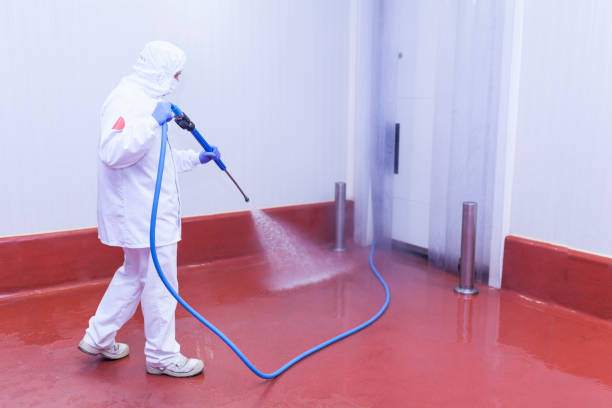Spring Cleaning in Rumson, NJ